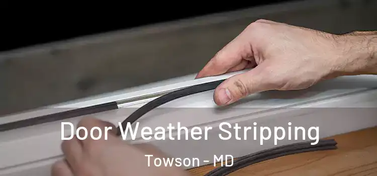 Door Weather Stripping Towson - MD