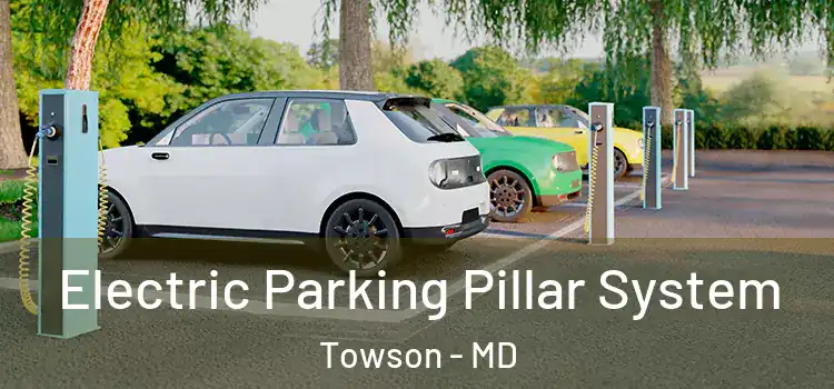 Electric Parking Pillar System Towson - MD