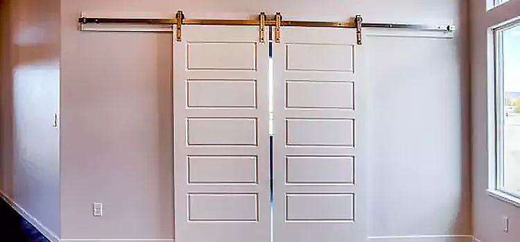 Glass Barn Door with Installation Hardware Kit Towson