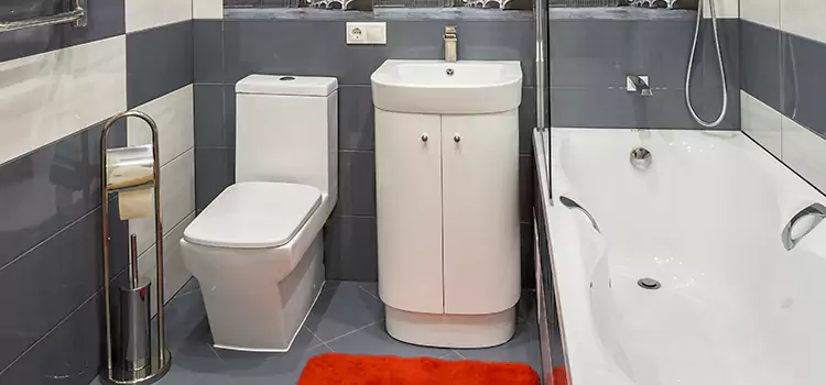 Hansgrohe Shaving Mirror Towson