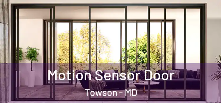  Motion Sensor Door Towson - MD